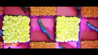 Sudhir weds Usha Marriage Teaser--- Marriage Date - 26/11/2017