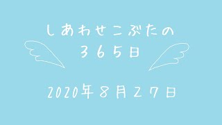 株式会社SCRIT「しあわせこぶたの３６５日」８/２７