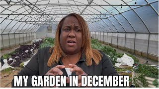 DECEMBER GARDEN TOUR | ZONE 7