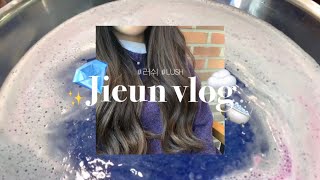 VLOG | 러쉬 베쓰밤사고 카메라 구경하는 소소한 일상 브이로그 | 러쉬 LUSH 베쓰밤 • 토끼정 • 브이로그 카메라 | 지은 Jieun