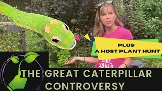 THE BIG CATERPILLAR CONTROVERSY // HOST PLANT HUNT // INVASIVES // EASTERN TIGER SWALLOWTAIL CAT.