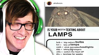 ok moth memes are still hilarious to me