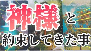 あなたの使命/課題/カルマ👼生まれる前に神様と何を約束してきたのか？