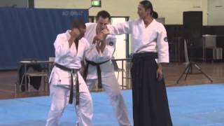 Aikido Demonstration Mori Shihan