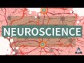 What is Neuroscience?