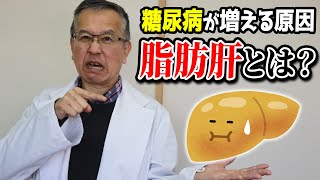 【脂肪肝】それって糖尿病かも！？糖尿病になる前に体に起こる変化とは？