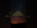 Dil ka hal  | Sad Status | Urdu Poetry | Urdu Lines | Whatsapp Status | Heart Broken Shayari