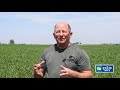 how cover crops changed this southwest iowa farm