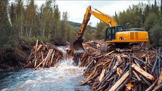 BEST BEAVER DAM REMOVAL EVER! | Best Compilation 2025 #2