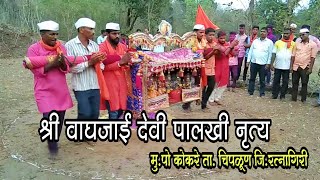 श्री वाघजाई देवी पालखी नृत्य | कोकरे ता. चिपळूण | konkan shimga palkhi dance 2022