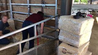 Stock Show U presents setting up a cattle show bed