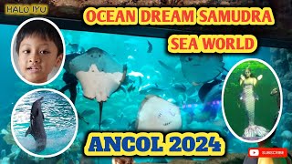 ANCOL 2024 | OCEAN DREAM SAMUDRA | SEA WORLD | ADA BARONGSAI DALAM AIR