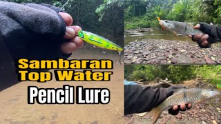 Sesekali Pake Umpan Top Water, Ganas Ledakannya. #mahakamulu