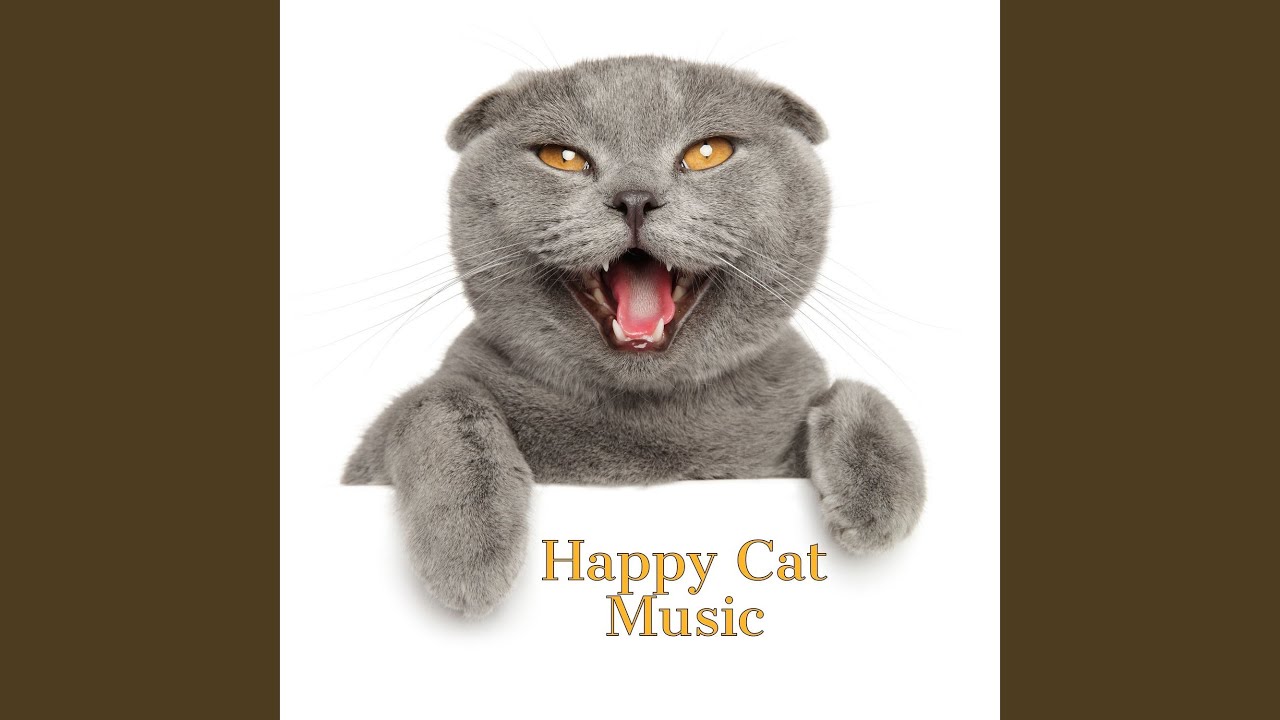 Happy Cat Music Youtube Music