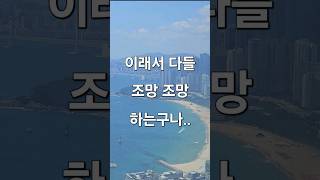 해운대 힐스테이트위브 43평 105타입 미친 조망 #해운대오션뷰아파트 #해운대 #해운대부동산 #해운대아파트 #해운대힐스테이트위브 #해운대힐스테이트