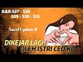 BAB 527 - 531 | DIKEJAR LAGI OLEH ISTRI CEO KU