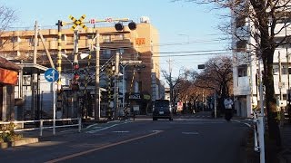 2016.12.24　南武線「矢川踏切」　貨物列車8097レ