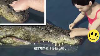 What should you do if you get hit by a crocodile Xi? #anecdote#popular science#increase knowledge