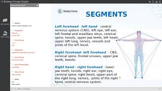 WebinarLife Expert Profi express testing segmental diagnostic