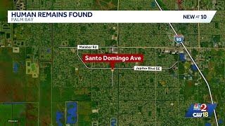 Human remains discovered in Palm Bay during missing person investigation, police say