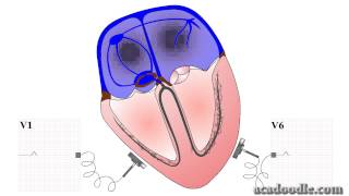 ECG Interpretation - Generation