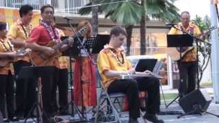 Hawaiian Steel Guitar - \