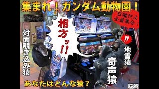 イラついてもキレたら負けなんです！　星の翼（日本鯖）　レート7000帯　コストは全て俺のもの！　エクバ中将　お前らのガキノリについていけないんで適当にします。