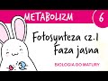 Metabolizm 6 - Proces fotosyntezy cz. 1 faza jasna przebieg - biologia rozszerzona liceum matura