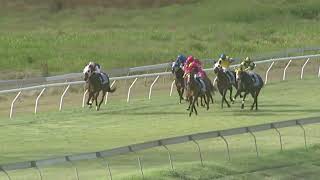 Yeppoon 20241102 Race 5