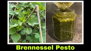 Brennesselpesto Rezept | Pesto aus Brennessel | Selbstversorgung: Wildkräuter