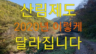 산림제도 2020 년  이렇케 달라집니다 임업 농업 약초 귀농 귀촌 약용식물 산야초  6차산업 산림경영 임업후계자 경북농민사관학교 약초방송 산림 독림가 임업경영체 임산물 약초TV