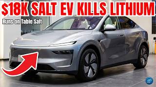 The $18,000 EV That Runs on Salt Just Killed the Lithium Industry