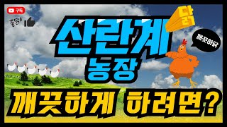 축산환경개선을 위한 산란계 농가 관리 교육영상