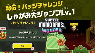 【ﾏﾘｵﾜﾝﾀﾞｰ】秘伝！バッジチャレンジ 『しゃがみ大ジャンプLv.1』W3 オーゴン滝 スーパーマリオブラザーズワンダー Super Mario Bros. Wonder