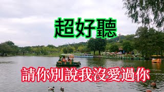 請你別說我沒愛過你  -  李英（超好聽）- 澳琴海