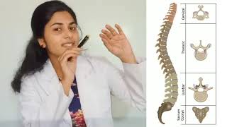 NECK PAIN. കഴുത്തുവേദന അറിഞ്ഞിരിക്കേണ്ട കാര്യങ്ങൾ