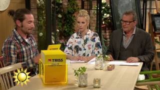 Trissvinnarens tatueringar får Jenny och Steffo att gå bananas - Nyhetsmorgon (TV4)