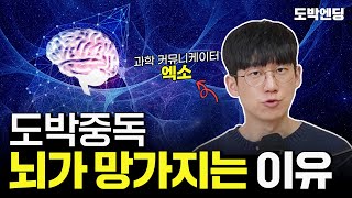 도박중독 당신의 뇌를 파괴합니다.ㅣ과학 유튜버 엑소쌤의 뇌과학 강좌 1부