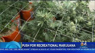 Push For Recreational Marijuana Continues Across Florida