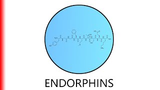 ENDORPHINS.