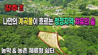 [NO. 578] 나만의 계곡물이 흐르는 오염되지 않은 청정지역 치유의 숲 농막용지 및 전원주택지 제천토지매매