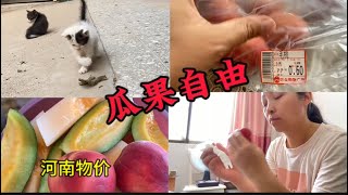 九个桃子🍑六角钱，河南物价能有多感人