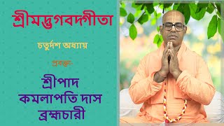 শ্রীমদ্ভগবদ্গীতা চতুর্দশ অধ্যায় (৫৯৭ তমদিন ) প্রবক্তা- শ্রীপাদ কমলাপতি দাস ব্রহ্মচারী