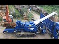 Dangerous Big Tree Destroyer Machines Working, Extreme Modern Wood Chipper Makes Whole World Admire