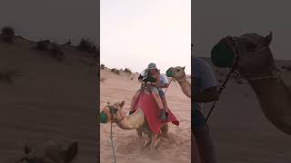 emotions Reactions funny att the camel ride att the desert safari camp Al Aweer #desertsafaridxbme