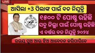 +3 Pass Govt Job in Odisha 2024|Odisha New Govt Job 2024|Total Post 1500|Latest Govt Job 2024 Odisha