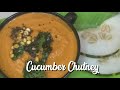 yellow cucumber chutney in tamil dosakai chutney yellow cucumber recipes