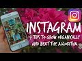 7 Tips to Grow ORGANICALLY ON INSTAGRAM in 2019