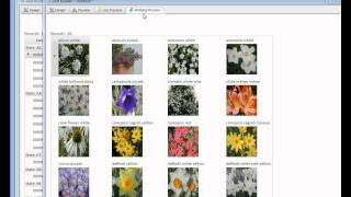 V11 Group Headings in Grid Part 2