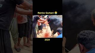 RAMBO Qurbani 😢 | Eid 2024